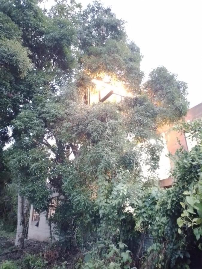 La Casita Del Arbol Guaduas Cundi. Hotel Ngoại thất bức ảnh