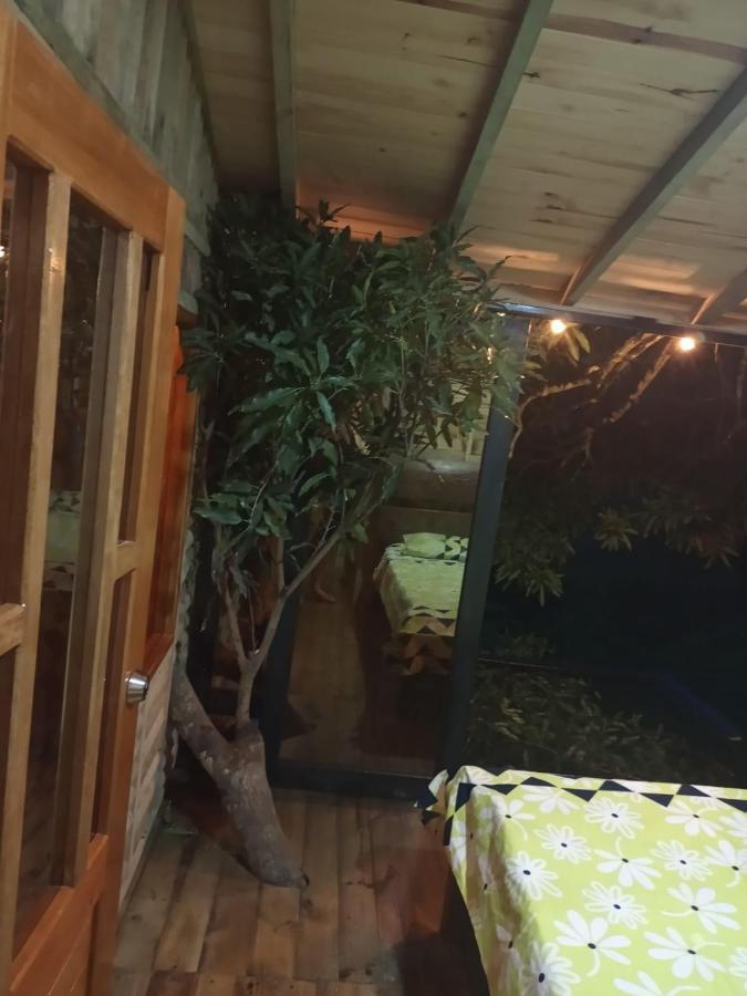 La Casita Del Arbol Guaduas Cundi. Hotel Ngoại thất bức ảnh