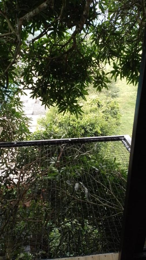 La Casita Del Arbol Guaduas Cundi. Hotel Ngoại thất bức ảnh