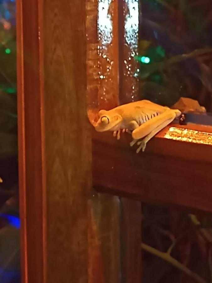 La Casita Del Arbol Guaduas Cundi. Hotel Ngoại thất bức ảnh